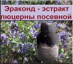ЭРАКОНД, экстракт люцерны посевной,40% раствор)