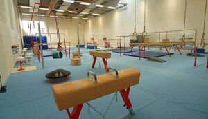 Гимнастика: товары для оснащения гимнастических залов