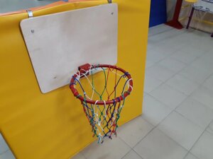 Баскетбольный щит с кольцом Vita 280мм