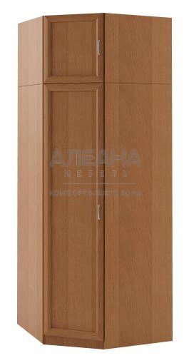 Шкаф угловой однодверный с антресолью УШР от компании Мебельный магазин ГОССА - фото 1