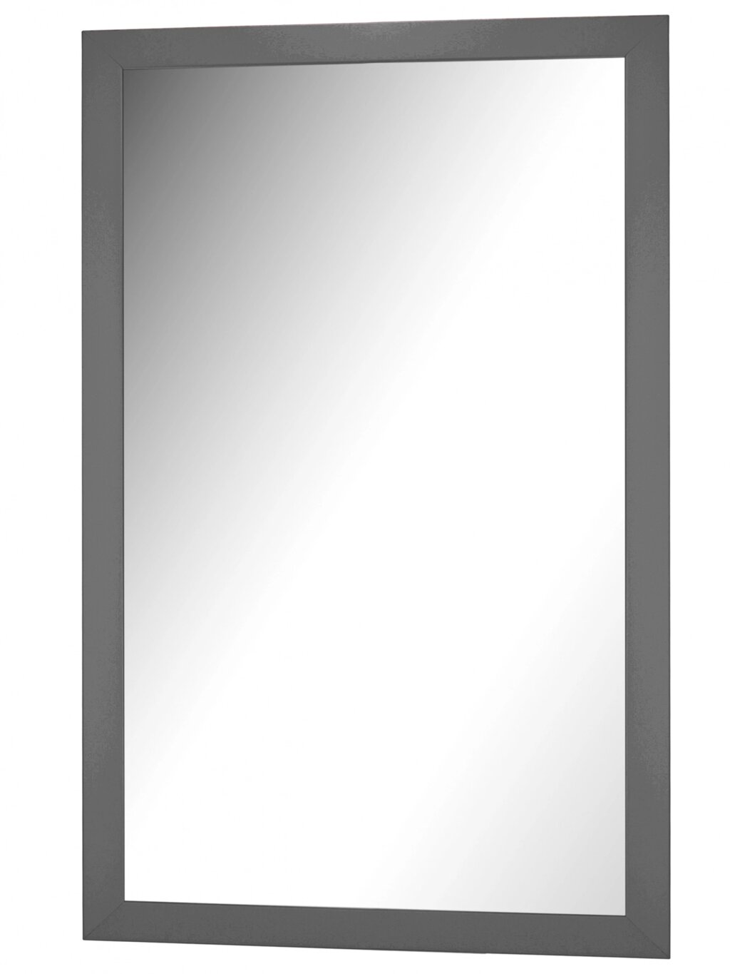 Зеркало настенное BeautyStyle 11 серый графит 118 см х 60 | 6 см от компании M-Lion мебель - фото 1