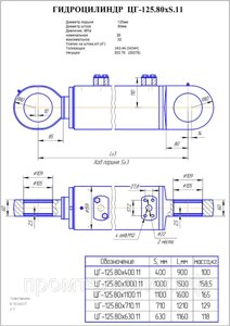 Гидроцилиндр опоры ЦГ-125.80х400.11