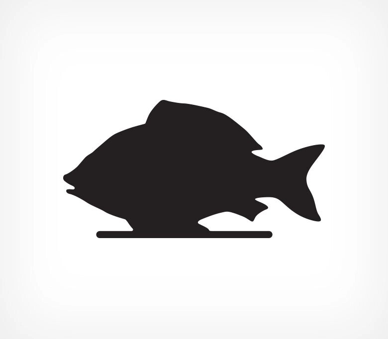 Меловая табличка «Рыба» BB FISH от компании Группа компаний Проторг - фото 1