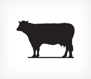 Меловая табличка «Корова» BB COW