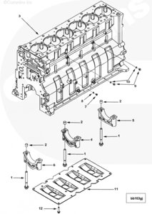 Кольцо уплотнительное пробки блока цилиндров для двигателя Cummins QSX 15