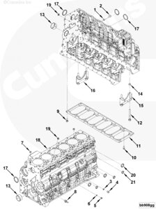 Пробка резьбовая блока цилиндров для двигателя Cummins QSB 6.7L