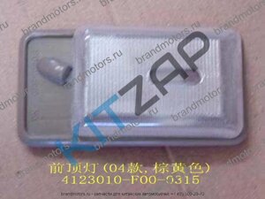 Плафон салона (бежевый) 4123010-F00-0315 Safe