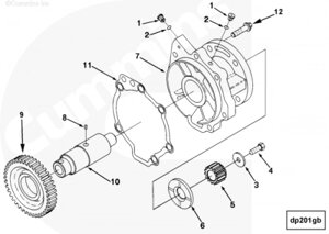 Шестерня привода ТНВД для двигателя Cummins ISM 11L