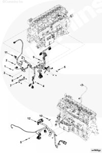 Жгут проводов для двигателя Cummins 6ISBe 5.9L