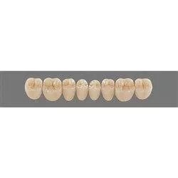 VITA MFT Зубы жеват. низ 2L1,5 (B2) / PL29 (8 шт.) в Челябинской области от компании Компания "Дентал Си"