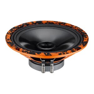 Акустика DL Audio Gryphon Lite 200 v2 (пара)