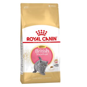 Royal Canin British Shorthair Kitten для котят британской короткошерстной породы, 2 кг.