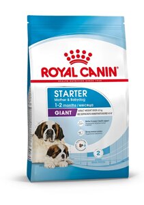 Royal Canin Giant Starter для щенков до 2-х месяцев и беременных или кормящих сук гигантских пород. 4 кг.