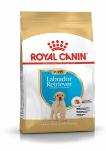 Royal Canin Labrador Retriever Puppy для щенков породы Лабрадор ретривер. 12 кг.