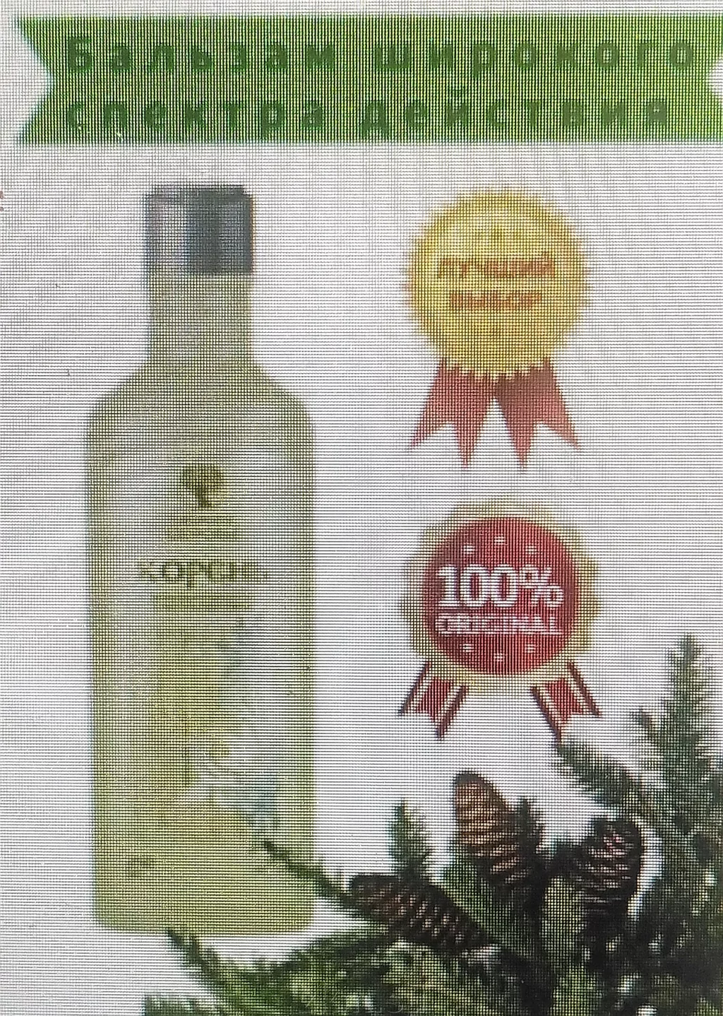 Корень На Пихтовом Масле Купить