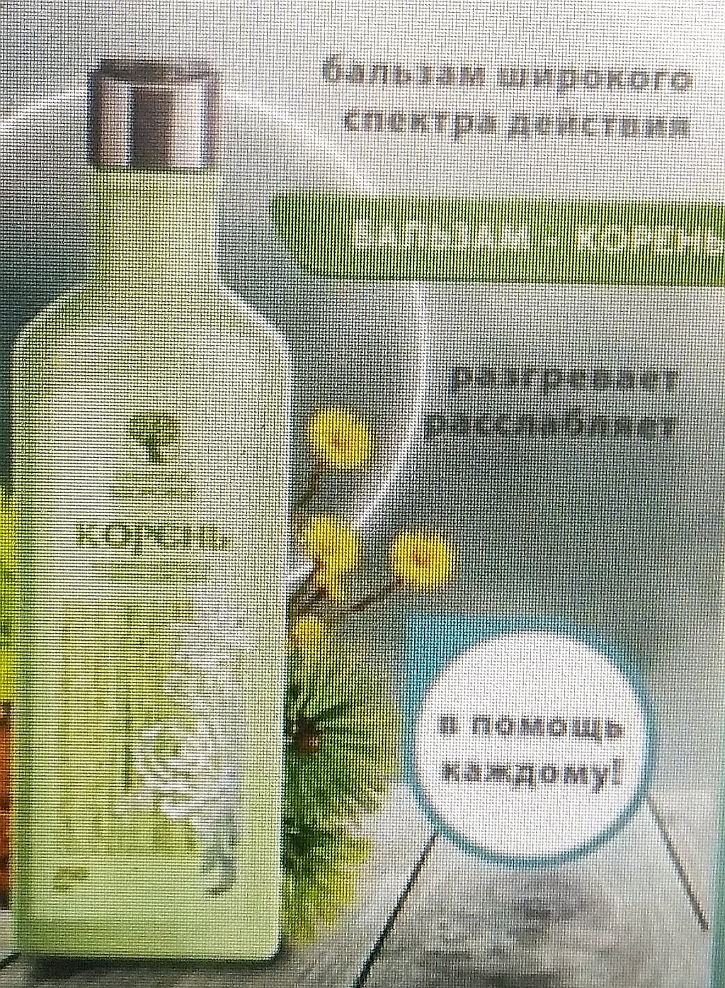 Корень На Пихтовом Масле Купить