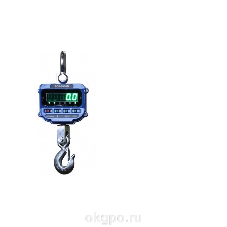 Весы крановые ВСК-5000В (5000 кг) от компании Компания "ГПО" - фото 1