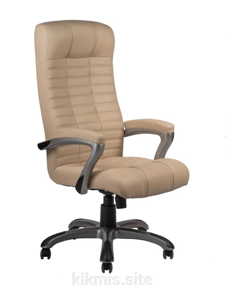 Кресло руководителя Атлант экокожа крем ТГ CH-XI, пласт серый ИМ от компании Интернет - магазин Kikmis - фото 1
