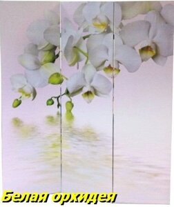 Ширма для комнаты Nurian 1112 "Белая орхидея"