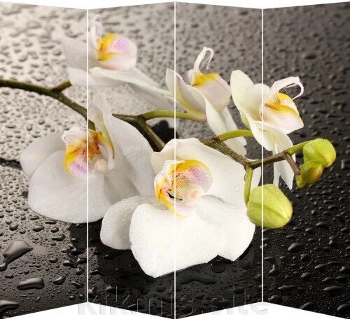 Ширма для комнаты Nurian 1111 "Белая орхидея и капли" от компании Интернет - магазин Kikmis - фото 1