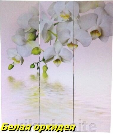 Ширма для комнаты Nurian 1112 "Белая орхидея" от компании Интернет - магазин Kikmis - фото 1