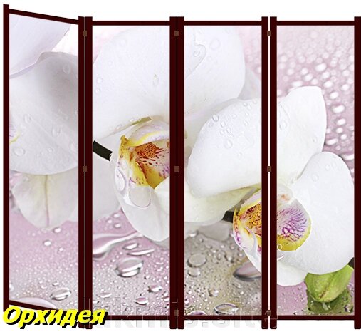 Ширма для комнаты Nurian 2101 "Орхидея" от компании Интернет - магазин Kikmis - фото 1