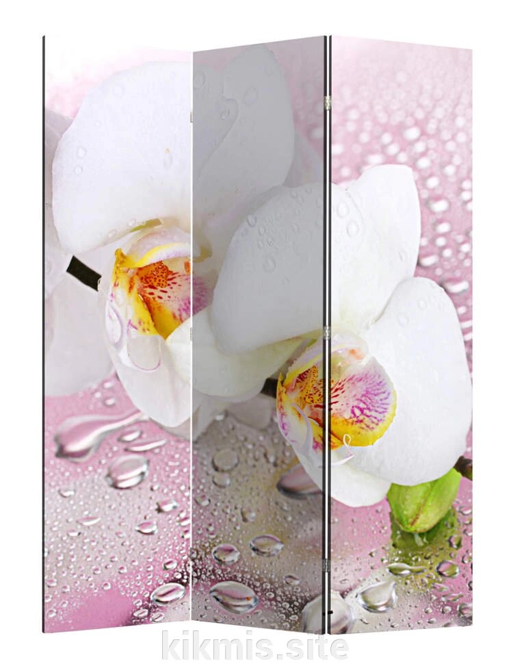 Ширма Nurian 1101 "Орхидея" двухсторонняя от компании Интернет - магазин Kikmis - фото 1