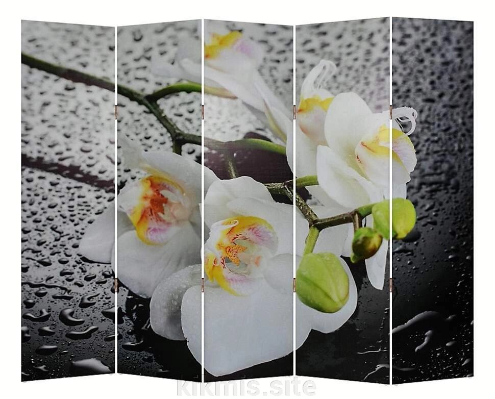 Ширма Nurian 1111 "Белая орхидея и капли" двухсторонняя от компании Интернет - магазин Kikmis - фото 1
