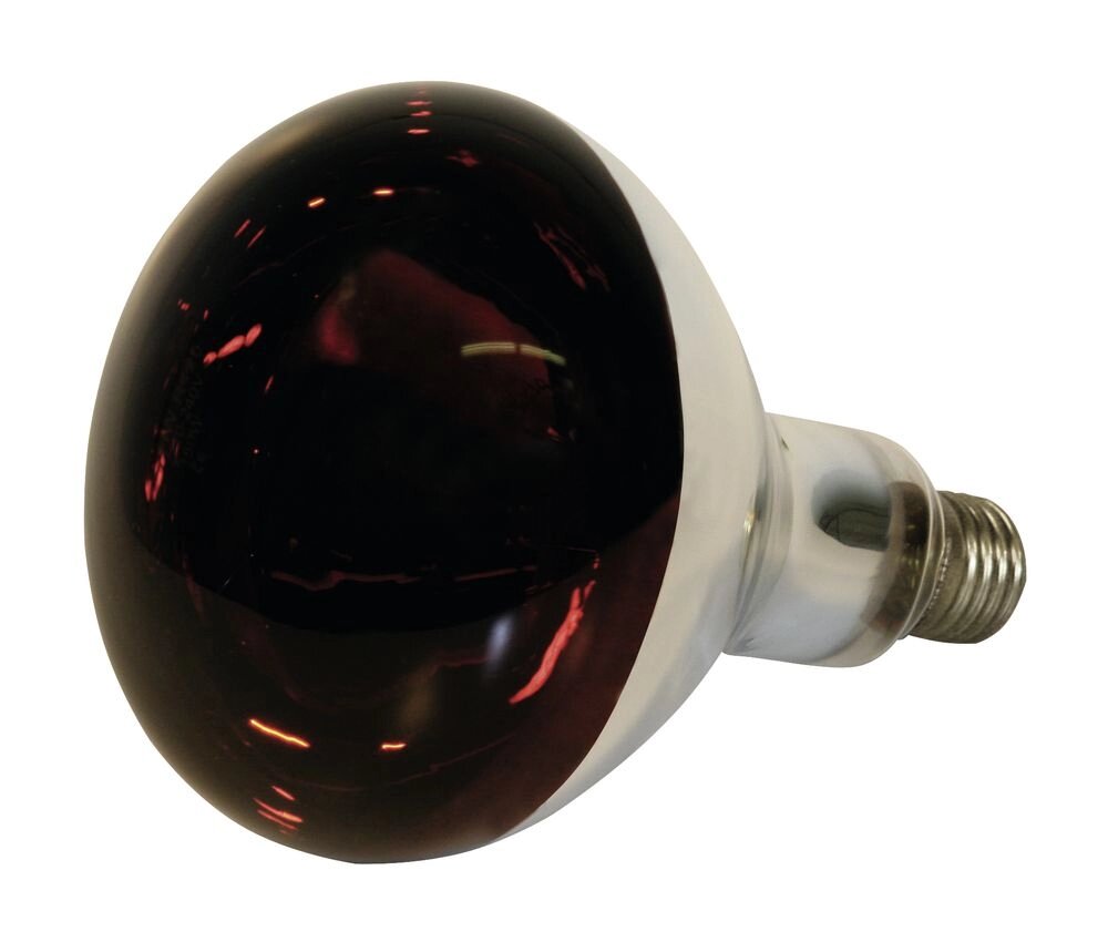Инфракрасная лампа Kerbl на 150 Вт, красная от компании Оптово-розничная база ветпрепаратов. Ветаптека. ООО НПП Велес - фото 1