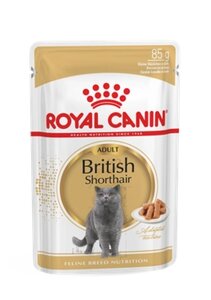 Royal Canin British Shorthair Роял Канин Кусочки в соусе для кошек породы британская короткошерстная, уп. 12 шт. 85 гр