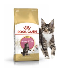Royal Canin Kitten Maine Coon Роял Канин Киттен Мейн Кун Корм для котят породы мейн-кун, 400 гр