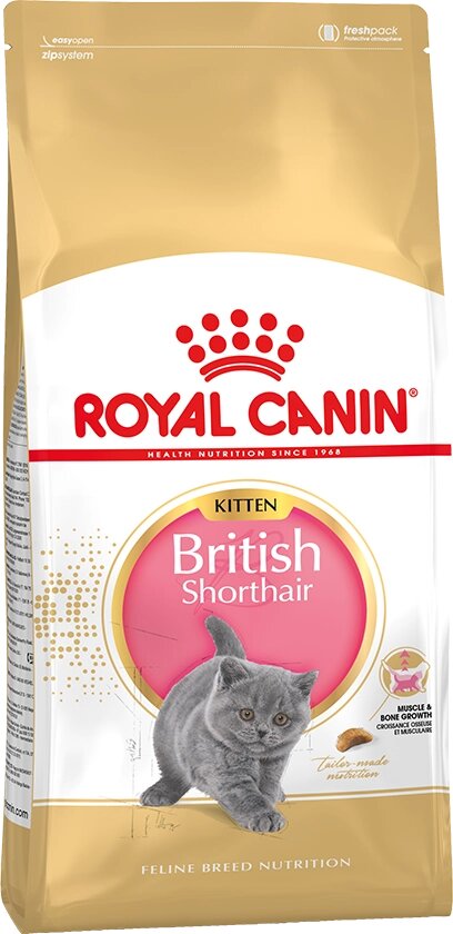 Royal Canin British Shorthair Kitten Роял Канин Корм для котят породы британская короткошерстная, 10 кг от компании Оптово-розничная база ветпрепаратов. Ветаптека. ООО НПП Велес - фото 1