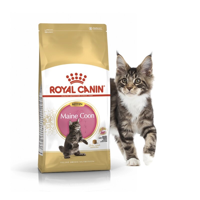 Royal Canin Kitten Maine Coon Роял Канин Киттен Мейн Кун Корм для котят породы мейн-кун, 400 гр от компании Оптово-розничная база ветпрепаратов. Ветаптека. ООО НПП Велес - фото 1