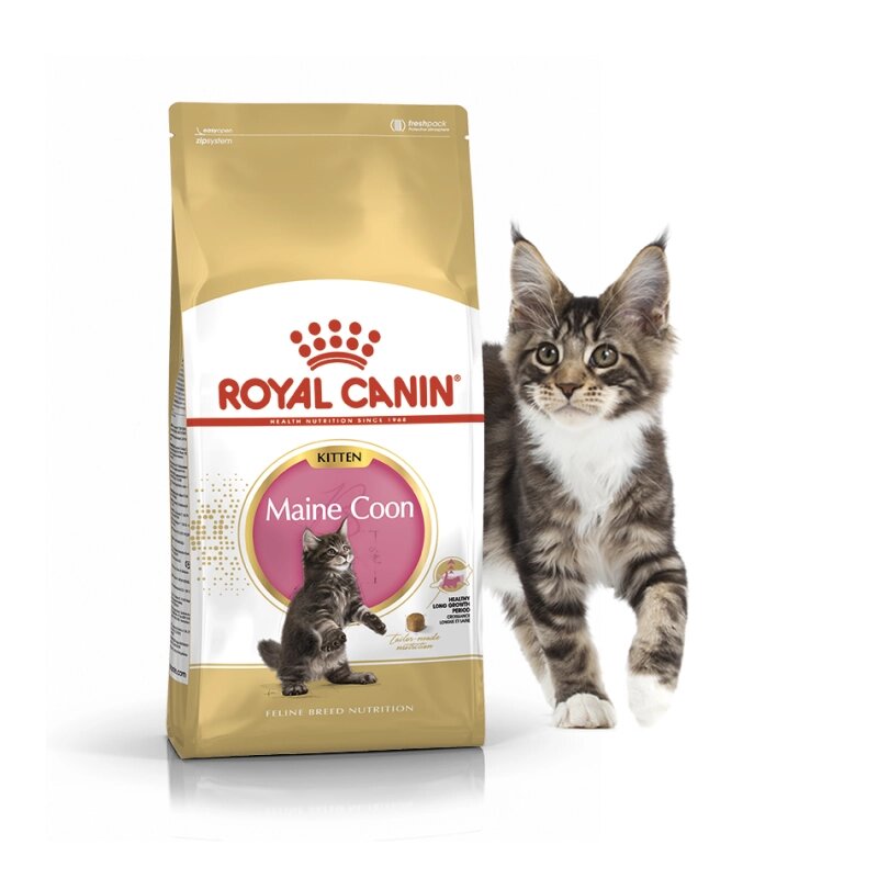 Royal Canin Kitten Maine Coon Роял Канин Киттен Мейн Кун Корм для котят ...