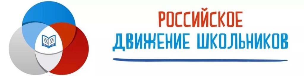 Перетяжка с символикой Российские Движение Школьников от компании Интернет-магазин "Атрибуты" - фото 1