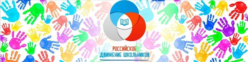 Перетяжка с символикой Российские Движение Школьников от компании Интернет-магазин "Атрибуты" - фото 1