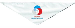 Пионерская атрибутика с символикой Российское Движение Школьников (РШД) : Пионерский галстук РДШ