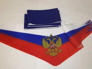 Комплект пилотка и галстук российского флага с гербом