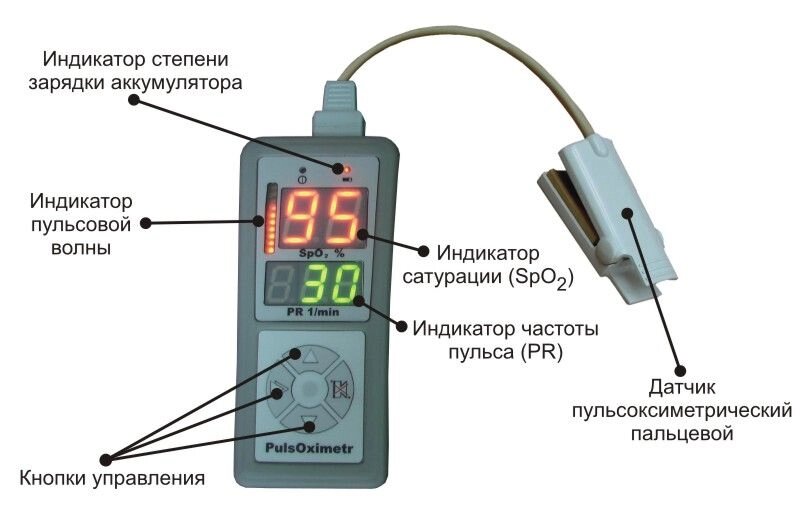 Пульсоксиметр портат. Окситест-1 с адаптером со взросл. и детск. датчиком м.918 от компании ООО Лидер - фото 1