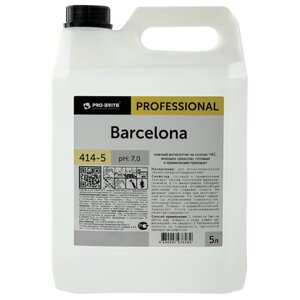 Антисептик для рук и поверхностей бесспиртовой 5 л PRO-BRITE BARCELONA, жидкость