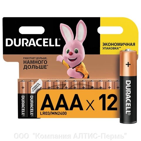 Батарейки КОМПЛЕКТ 12 шт, DURACELL Basic, AAA (LR03, 24А), алкалиновые, мизинчиковые, блистер от компании ООО  "Компания АЛТИС-Пермь" - фото 1