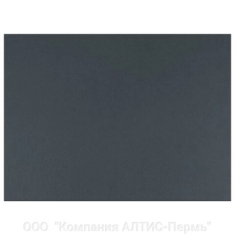 Бумага для пастели (1 лист) FABRIANO Tiziano А2+ (500х650 мм), 160 г/м2, антрацит, 52551030 от компании ООО  "Компания АЛТИС-Пермь" - фото 1