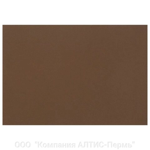 Бумага для пастели (1 лист) FABRIANO Tiziano А2+ (500х650 мм), 160 г/м2, кофейный, 52551009 от компании ООО  "Компания АЛТИС-Пермь" - фото 1