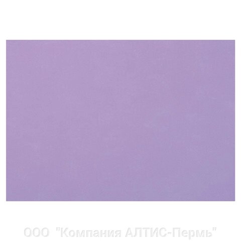 Бумага для пастели (1 лист) FABRIANO Tiziano А2+ (500х650 мм), 160 г/м2, лиловый, 52551033 от компании ООО  "Компания АЛТИС-Пермь" - фото 1