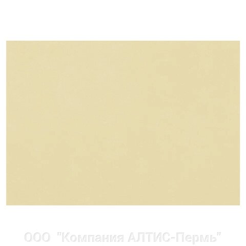 Бумага для пастели (1 лист) FABRIANO Tiziano А2+ (500х650 мм), 160 г/м2, песочный, 52551006 от компании ООО  "Компания АЛТИС-Пермь" - фото 1