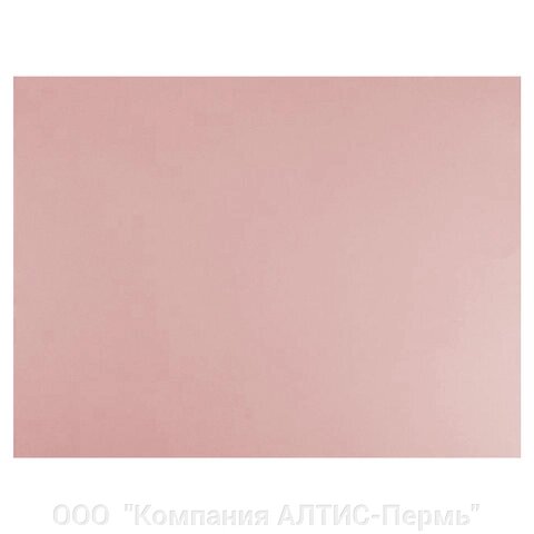 Бумага для пастели (1 лист) FABRIANO Tiziano А2+ (500х650 мм), 160 г/м2, розовый, 52551025 от компании ООО  "Компания АЛТИС-Пермь" - фото 1