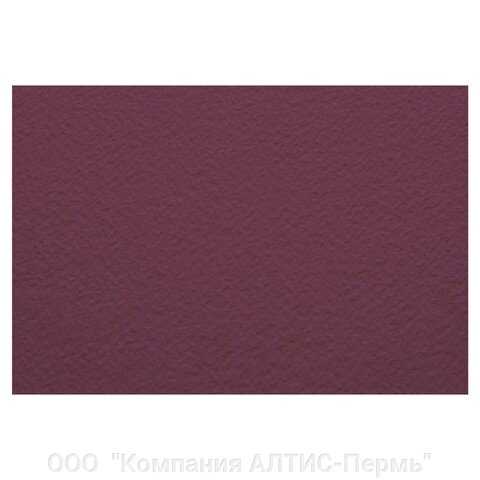 Бумага для пастели (1 лист) FABRIANO Tiziano А2+ (500х650 мм), 160 г/м2, серо-фиолетовый, 52551023 от компании ООО  "Компания АЛТИС-Пермь" - фото 1