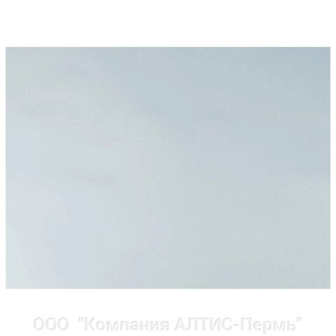 Бумага для пастели (1 лист) FABRIANO Tiziano А2+ (500х650 мм), 160 г/м2, серый холодный, 52551029 от компании ООО  "Компания АЛТИС-Пермь" - фото 1