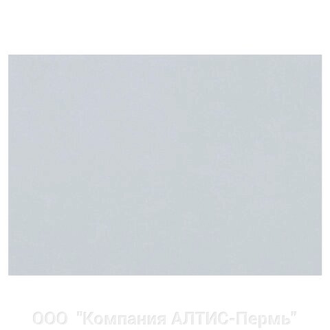 Бумага для пастели (1 лист) FABRIANO Tiziano А2+ (500х650 мм), 160 г/м2, серый светлый, 52551026 от компании ООО  "Компания АЛТИС-Пермь" - фото 1
