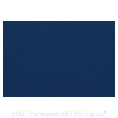 Бумага для пастели (1 лист) FABRIANO Tiziano А2+ (500х650 мм), 160 г/м2, темно-синий, 52551042 от компании ООО  "Компания АЛТИС-Пермь" - фото 1